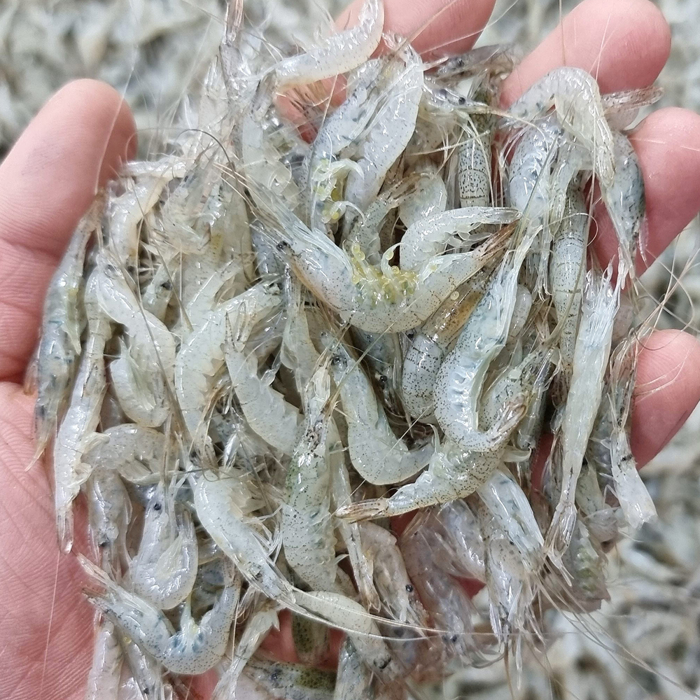   ι 500g